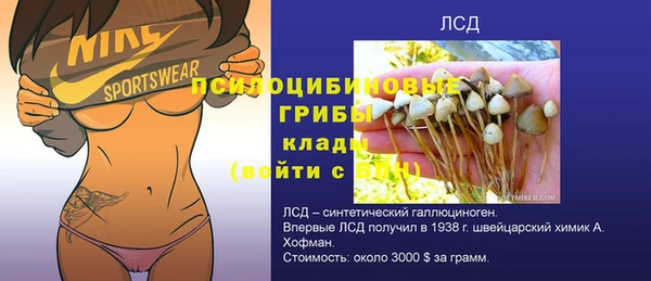 гидра Богородск