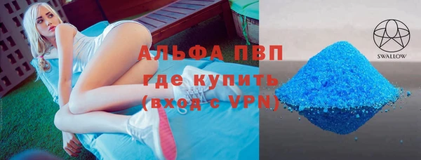 гидра Богородск