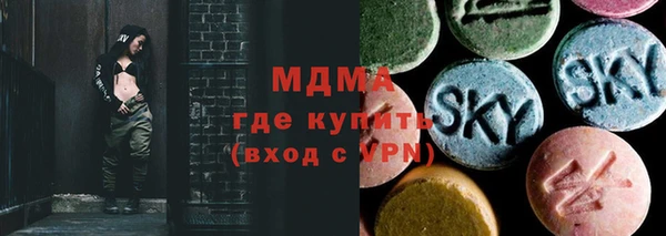 гидра Богородск