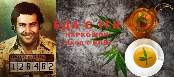 гидра Богородск