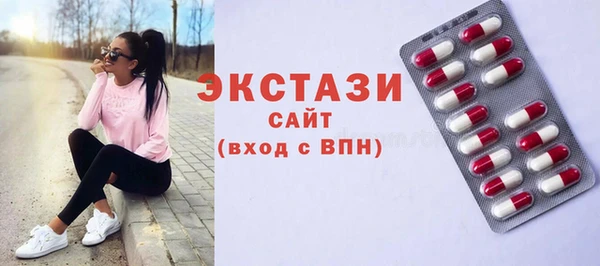 гидра Богородск