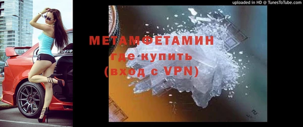 гидра Богородск