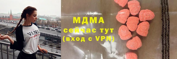 гидра Богородск