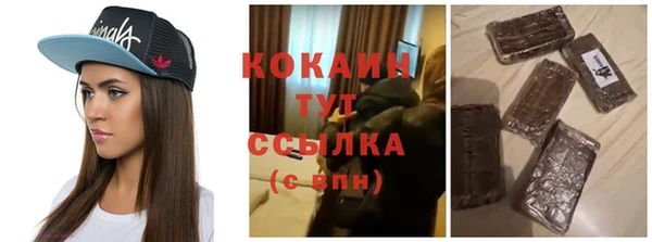 гидра Богородск