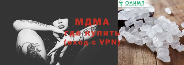 гидра Богородск