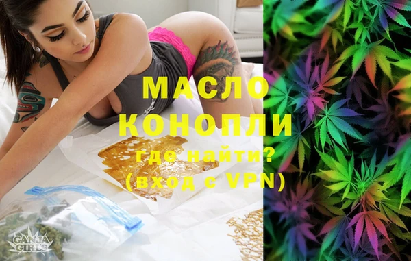 гидра Богородск