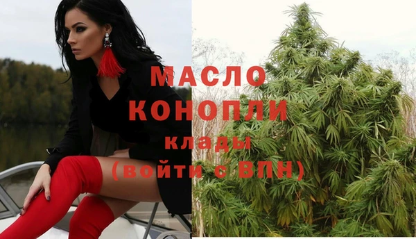 дмт Богородицк