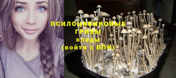 дмт Богородицк