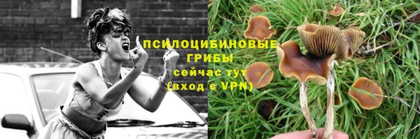 гидра Богородск