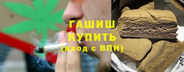 гидра Богородск