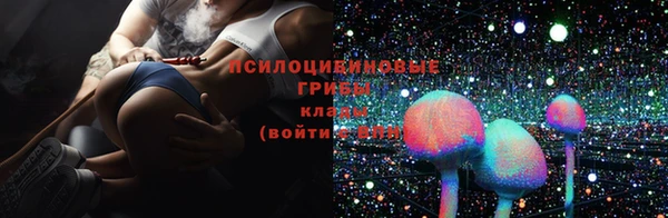 дмт Богородицк
