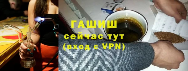 гидра Богородск